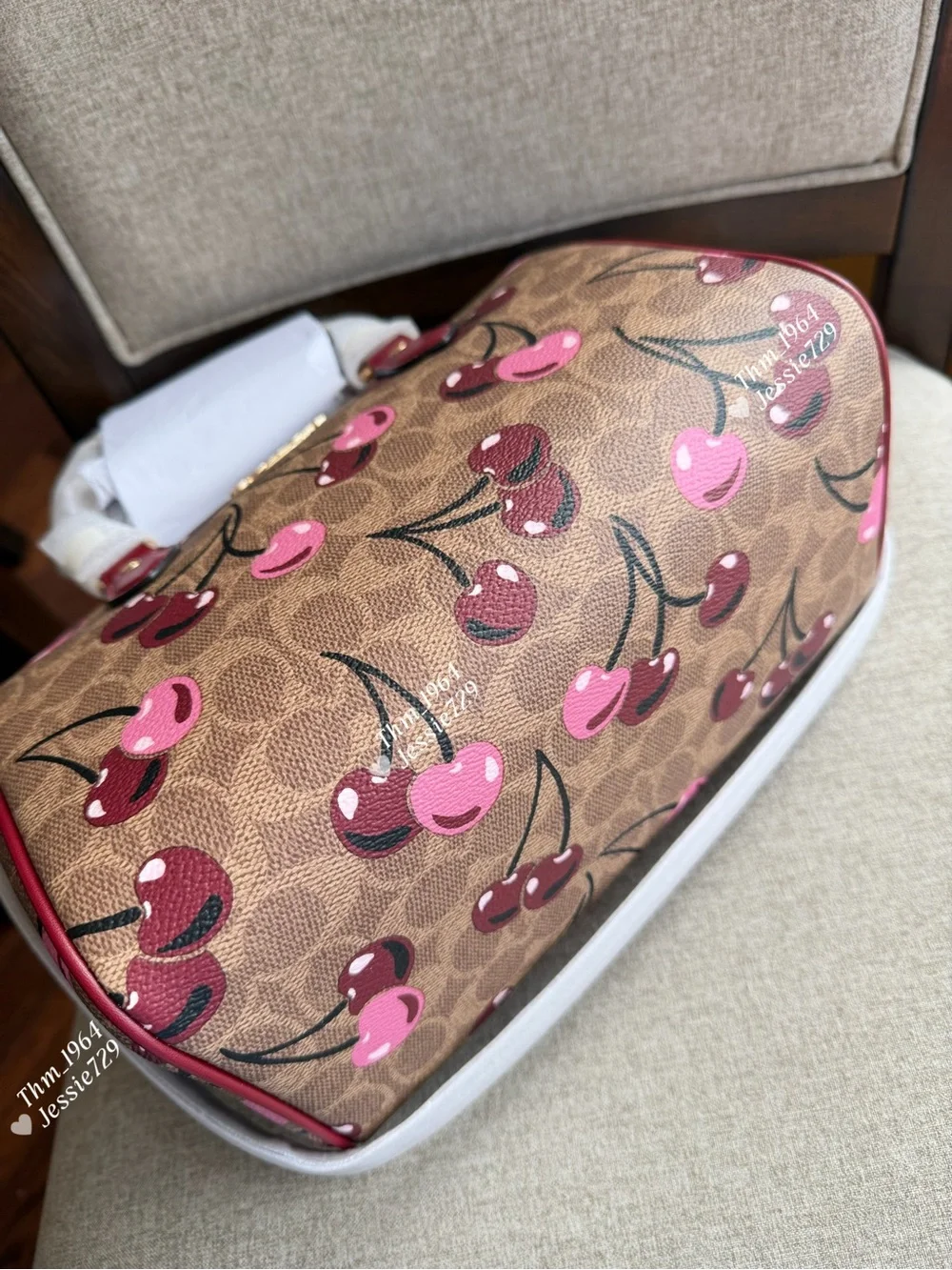 NWT！COACH ROWAN SATCHEL BAG IN SIGNATURE CANVAS WITH CHERRY PRINT（COACH CY692）